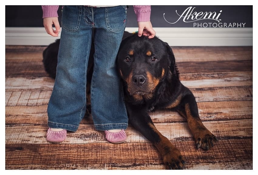 children-and-pet-photography-in-melbourne-photo-7 how-to-take-photos-of-your-kids-with-their-pets