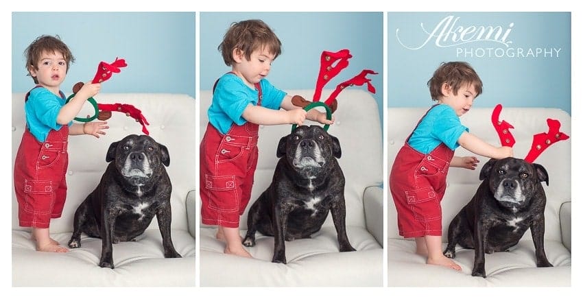 children-and-pet-photography-in-melbourne-photo-9 christmas-photos-with-kids-and-pets