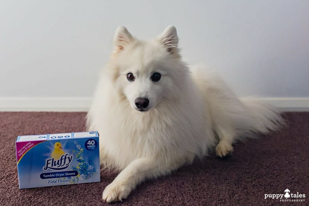 use dryer sheets to keep your home tidy