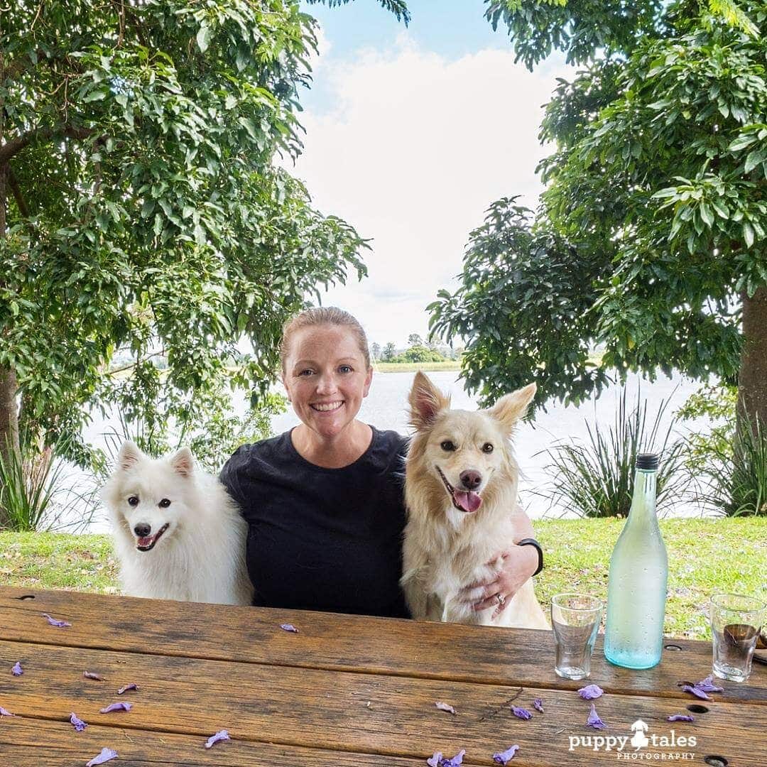 Pawsitive Travel With Dogs Dogs About Town Gourmet Experiences Eating Out