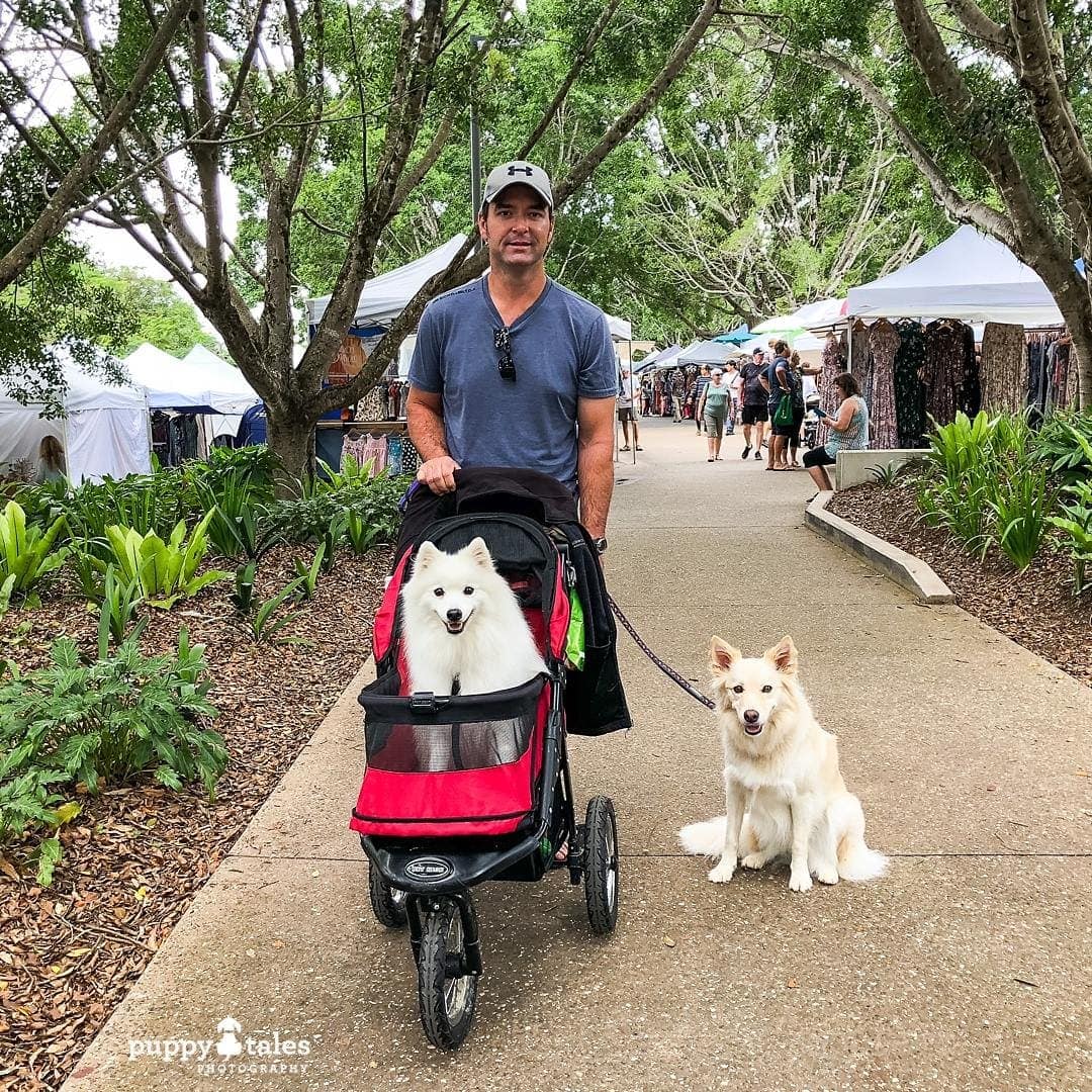 Pawsitive Travel With Dogs Gourmet Experiences