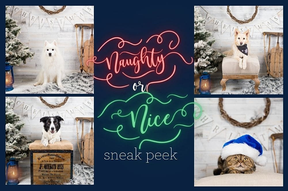 Naughty or Nice Sneak Peek Featured