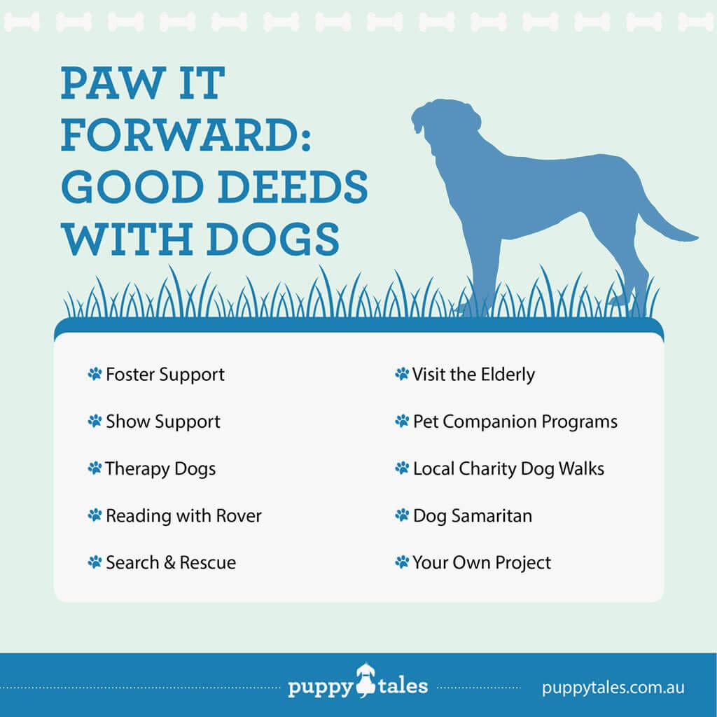 Paw it Forward: Good Deeds with Dogs