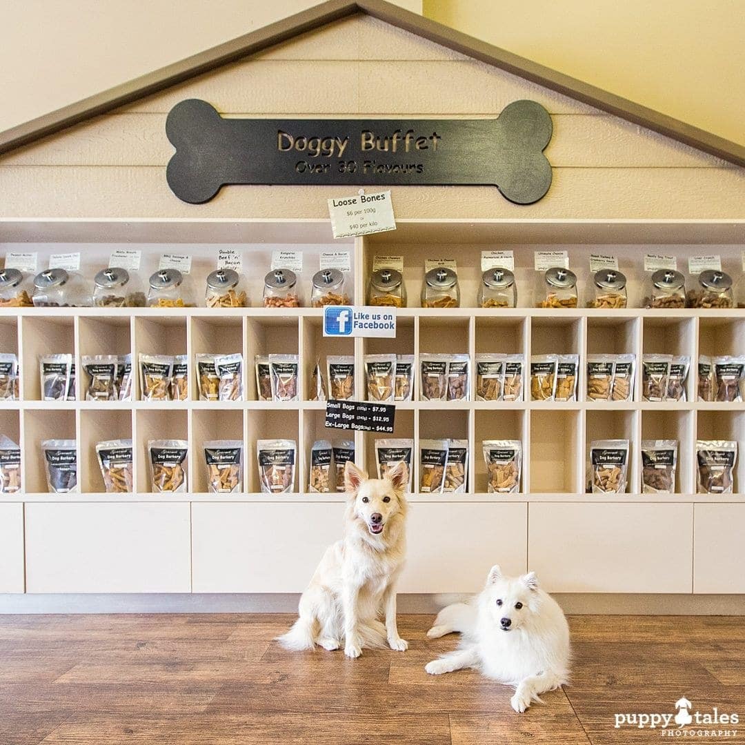 Pawsitive Travel With Dogs Gourmet Experiences