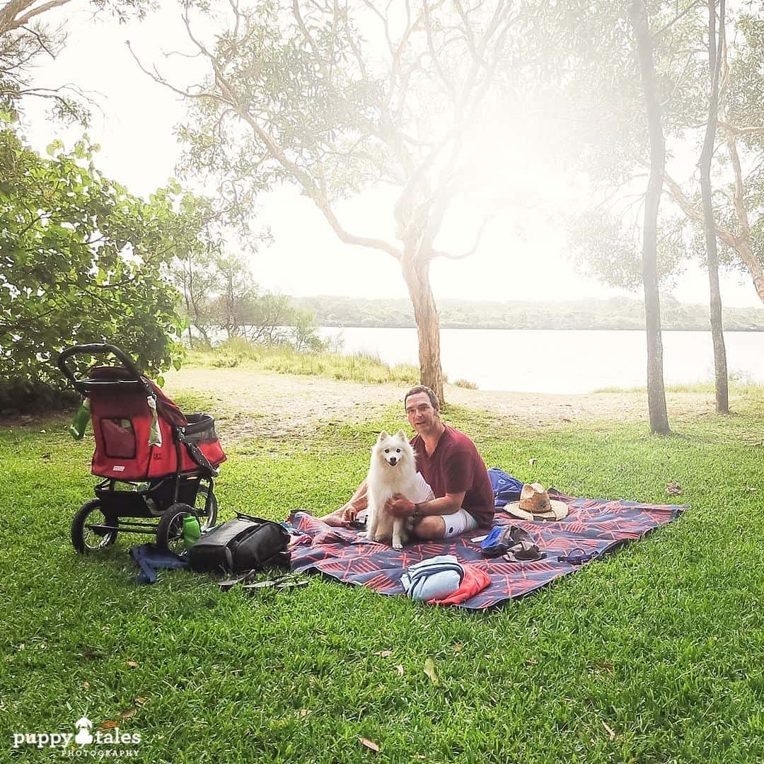 Pawsitive Travel With Dogs Gourmet Experiences