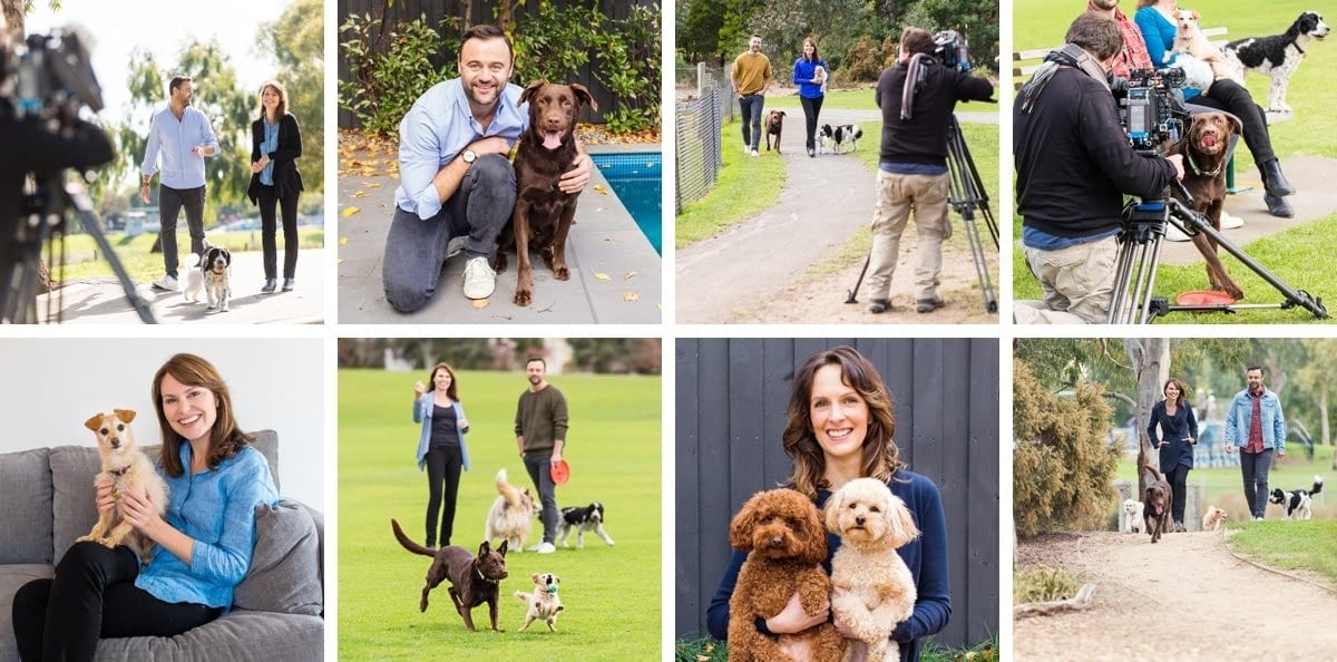 puppytalesphotography poochesatplay 2