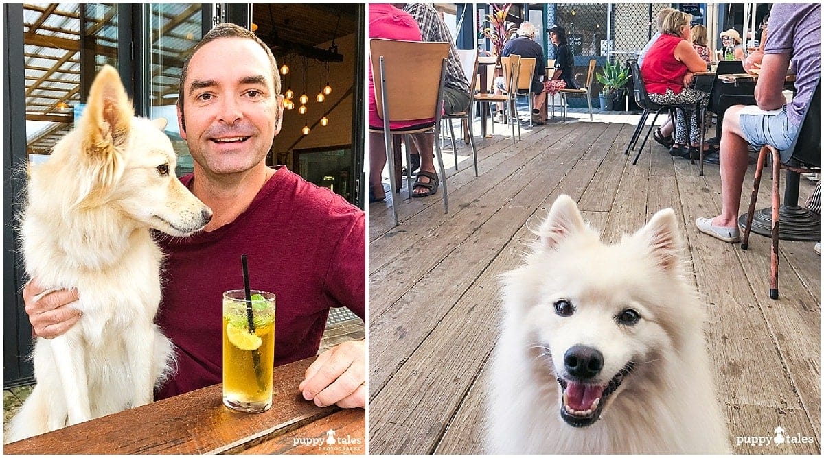 Bermagui Dog Friendly Cafes
