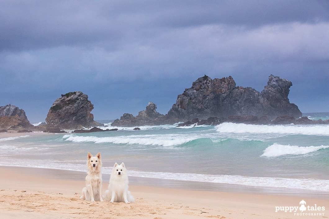 Bermagui Camel Rock Dod Friendly Destination