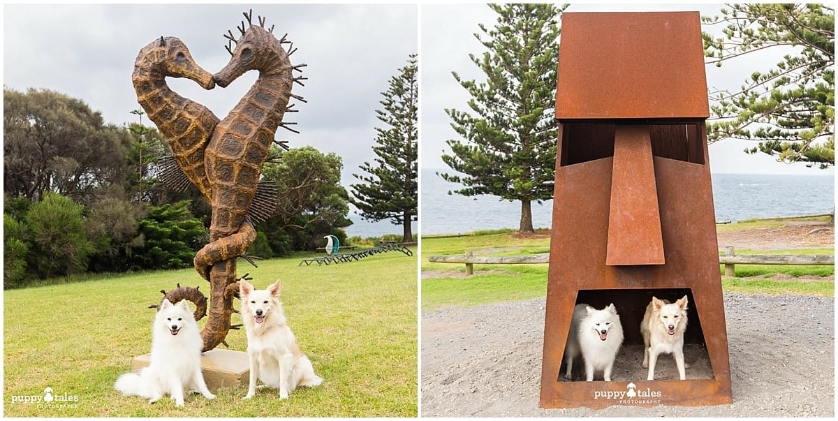 Bermagui Sculpture in the park