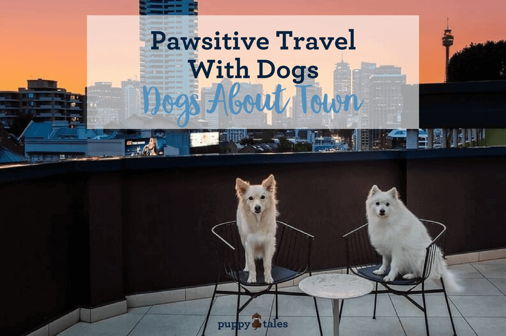 Pawsitive Travel With Dogs Dogs About Town Title