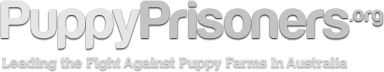 PuppyPrisoners.org -  Leading the Fight Against Puppy Farms In Australia